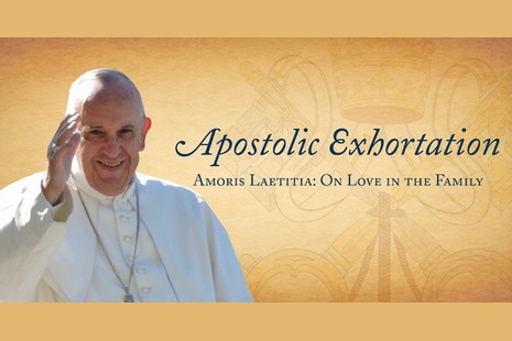 Defend PF Pope Francis on Amoris Laetitia poster